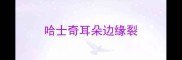 哈士奇耳朵边缘裂