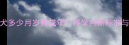 拉布拉多犬多少月岁算成年科学判断标准与饲养指南