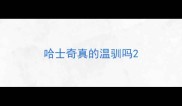 哈士奇真的温驯吗