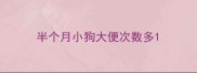 半个月小狗大便次数多