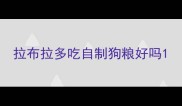 拉布拉多吃自制狗粮好吗