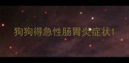 狗狗得急性肠胃炎症状