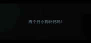 两个月小狗补钙吗