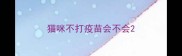 猫咪不打疫苗会不会