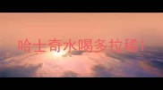 哈士奇水喝多拉稀
