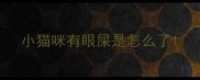 小猫咪有眼屎是怎么了