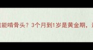 边牧幼犬什么时候能啃骨头3个月到1岁是黄金期这3点要注意