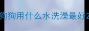 狗狗用什么水洗澡最好