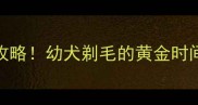 两个月大狗狗剃毛全攻略幼犬剃毛的黄金时间正确方法与避坑指南