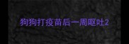 狗狗打疫苗后一周呕吐