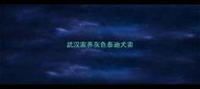 武汉家养灰色泰迪犬卖