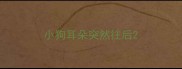 小狗耳朵突然往后