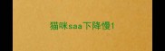 猫咪saa下降慢