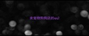 卖宠物狗狗店的qq