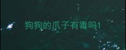 狗狗的爪子有毒吗