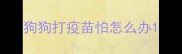 狗狗打疫苗怕怎么办