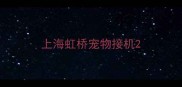 上海虹桥宠物接机