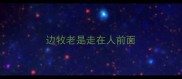 边牧老是走在人前面