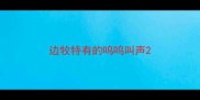 边牧特有的呜呜叫声