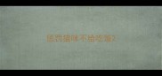 惩罚猫咪不给吃饭