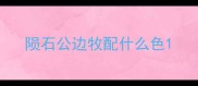 陨石公边牧配什么色