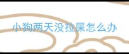 小狗两天没拉屎怎么办