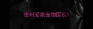 德州爱康宠物医院