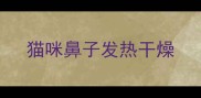 猫咪鼻子发热干燥