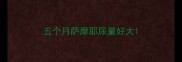 五个月萨摩耶尿量好大