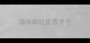 猫咪脚趾里黑乎乎
