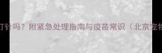 小狗咬出血必须打针吗附紧急处理指南与疫苗常识北京宠物医生权威解读