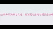 哈士奇专用狗粮怎么选科学配比指南与喂养全攻略