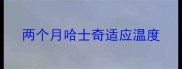 两个月哈士奇适应温度