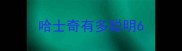 哈士奇有多聪明6