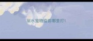 丽水宠物疫苗哪里打