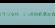 幼犬自主入睡能力培养全攻略3-8月龄睡眠发育规律与科学训练法