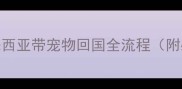 最新指南马来西亚带宠物回国全流程附必备文件清单