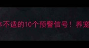 狗狗身体不适的10个预警信号养宠人必看