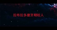 拉布拉多磨牙期咬人
