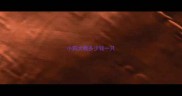 小狗大概多少钱一只