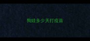 狗娃多少天打疫苗
