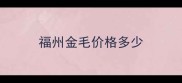 福州金毛价格多少