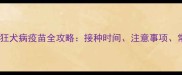 猫咪必看狂犬病疫苗全攻略接种时间注意事项常见问题解答