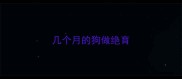 几个月的狗做绝育