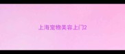 上海宠物美容上门