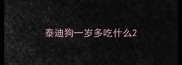 泰迪狗一岁多吃什么