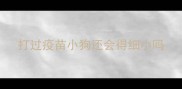 打过疫苗小狗还会得细小吗