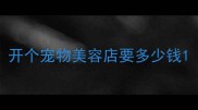 开个宠物美容店要多少钱