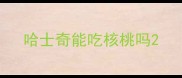 哈士奇能吃核桃吗