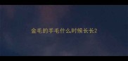 金毛的手毛什么时候长长